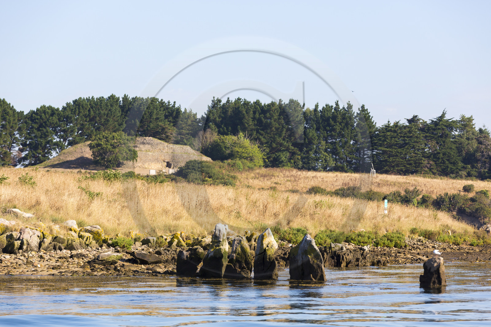 Cromlechs Er Lannic_ Arzon