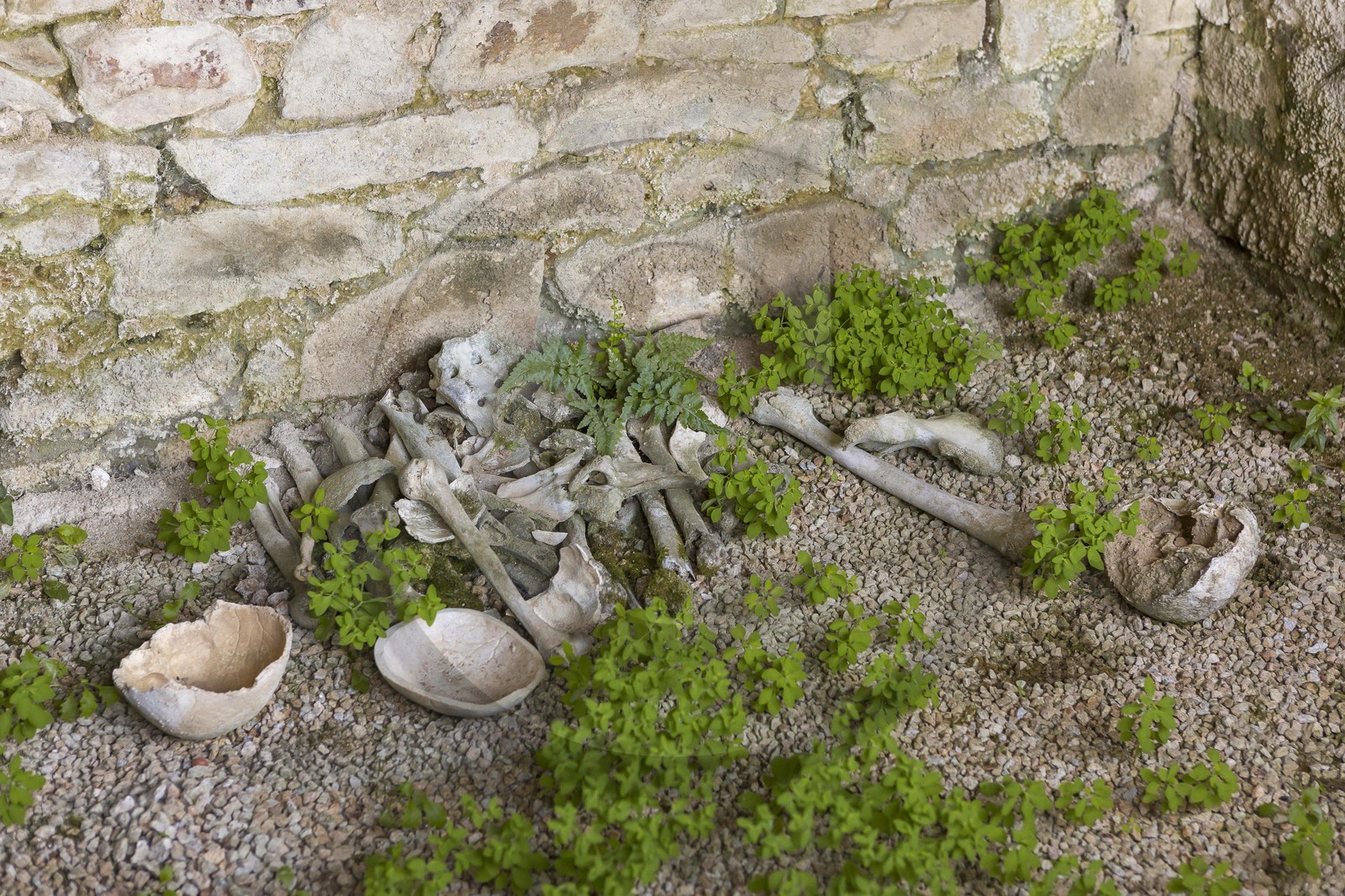 Ossuaire _ Plélan le petit