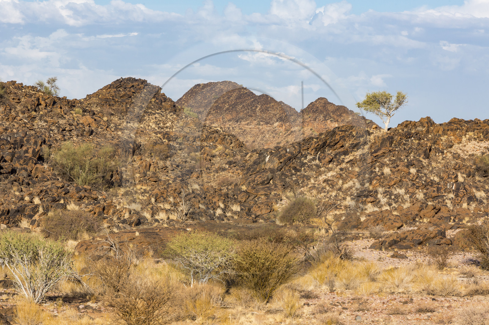 Le parc national des Chutes d'Augrabies. Cap du Nord, Afrique du Dud