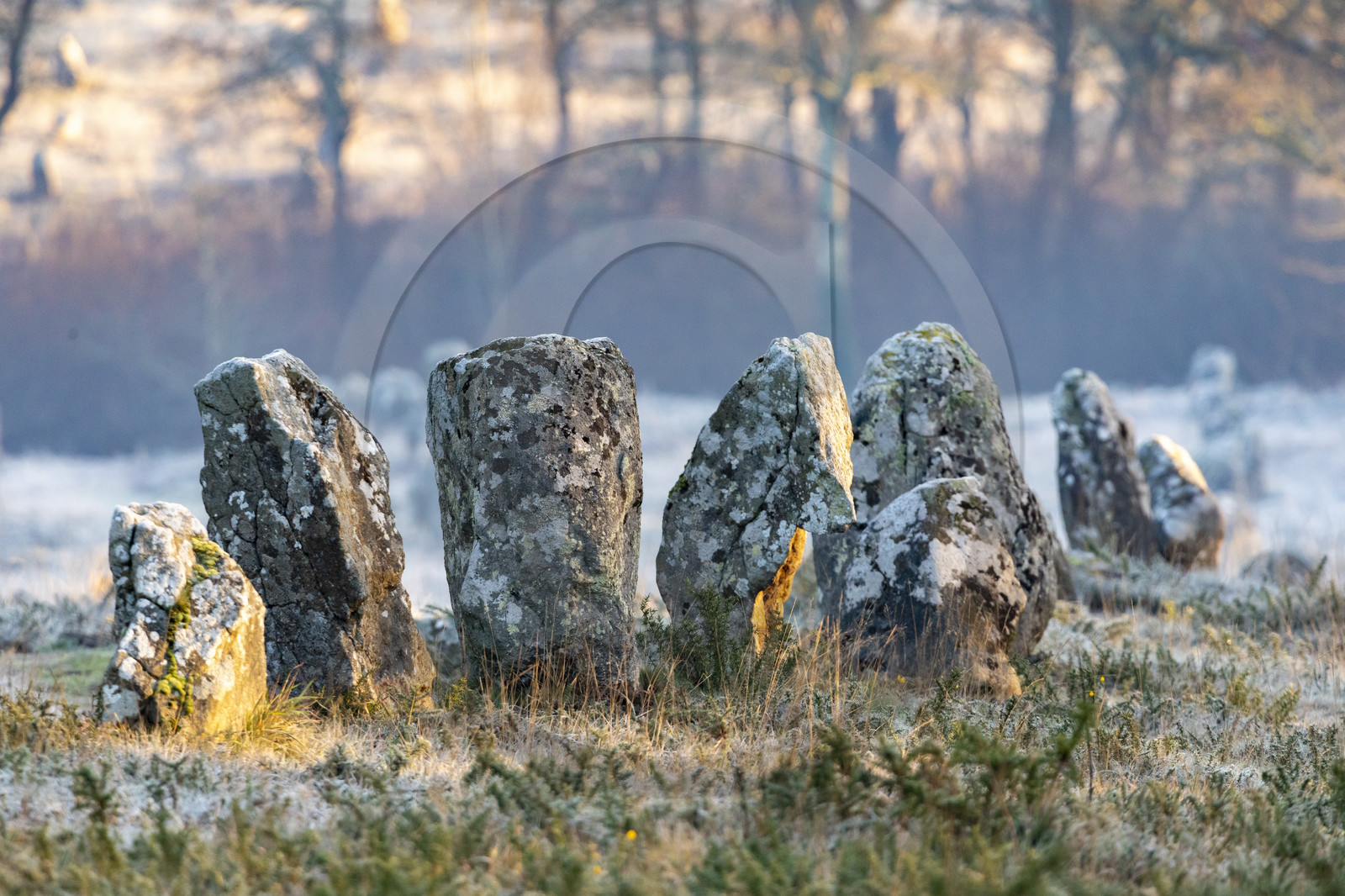 Alignements de Kermario à Carnac
