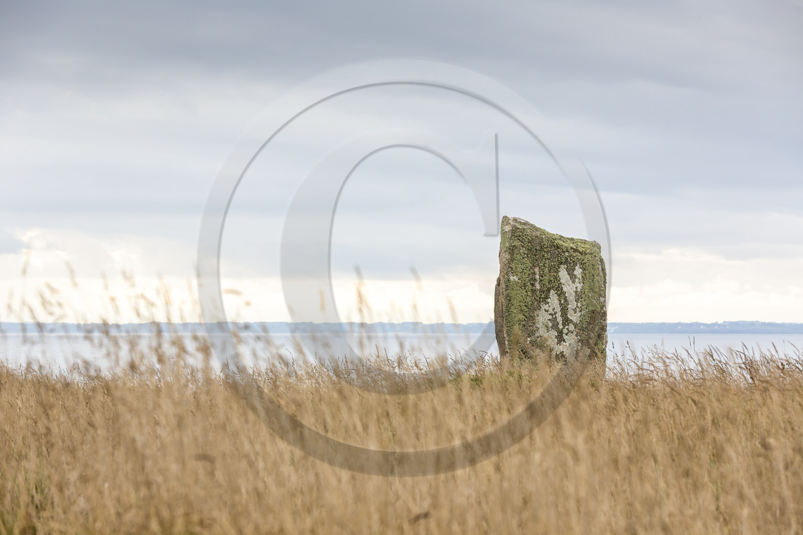 Menhirs de Beg Er Goalennec