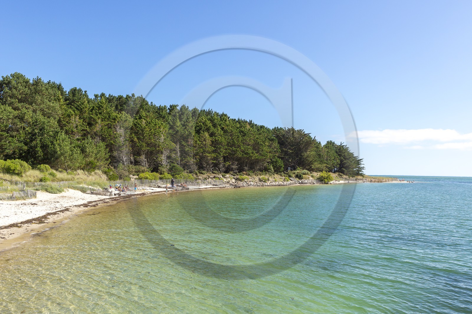 La plage du Poulbert  _ La Trinite sur mer