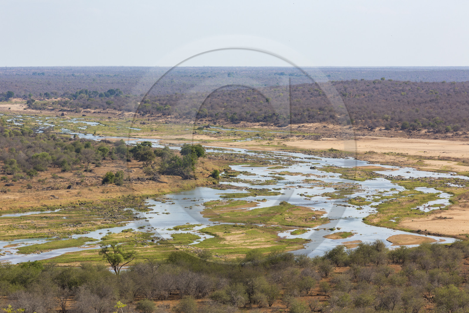 Parc Krüger, Afrique du Sud