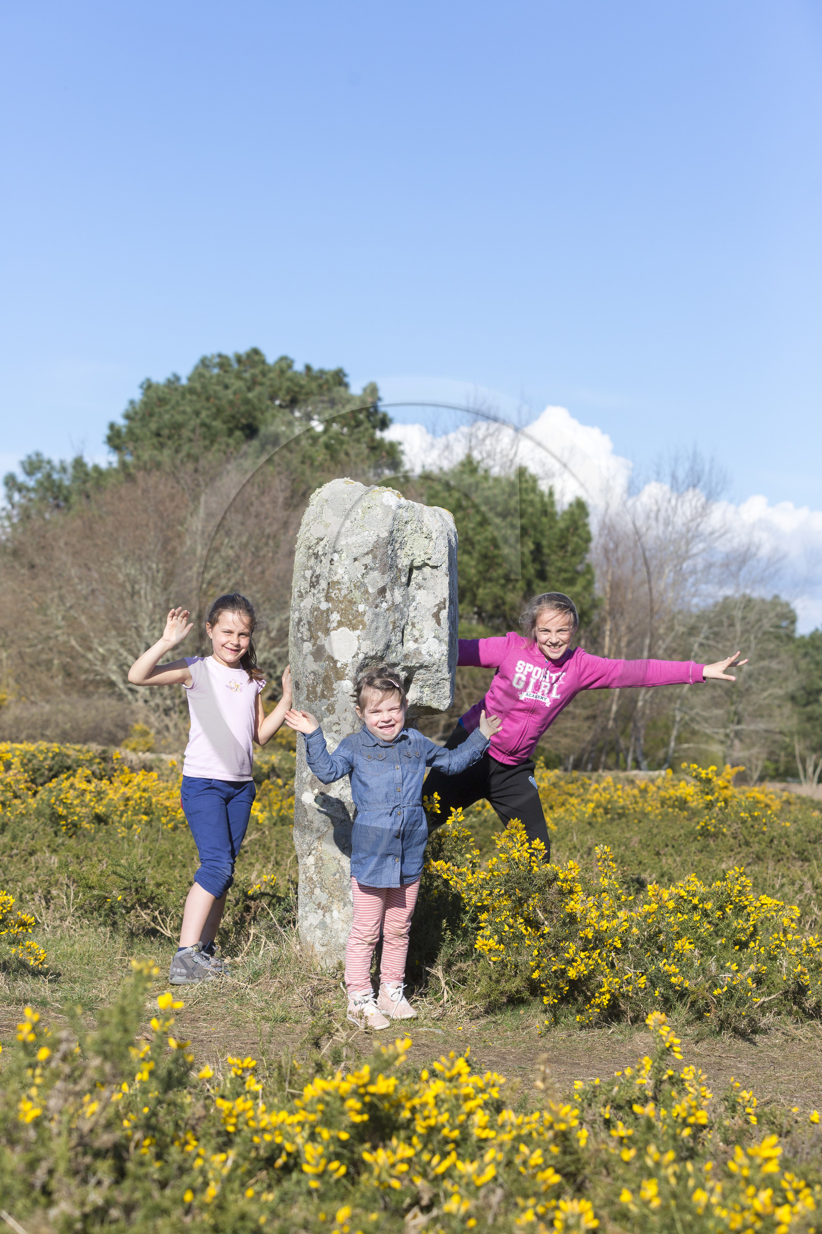 Promenade dans les alignements du Ménec à Carnac