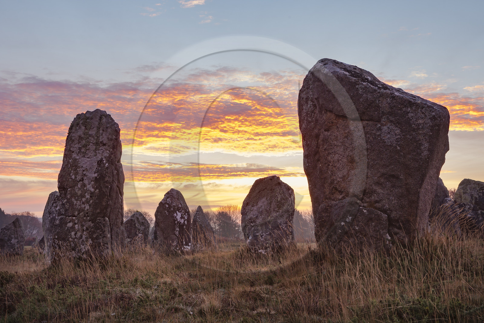 Alignements de Kerlescan à Carnac