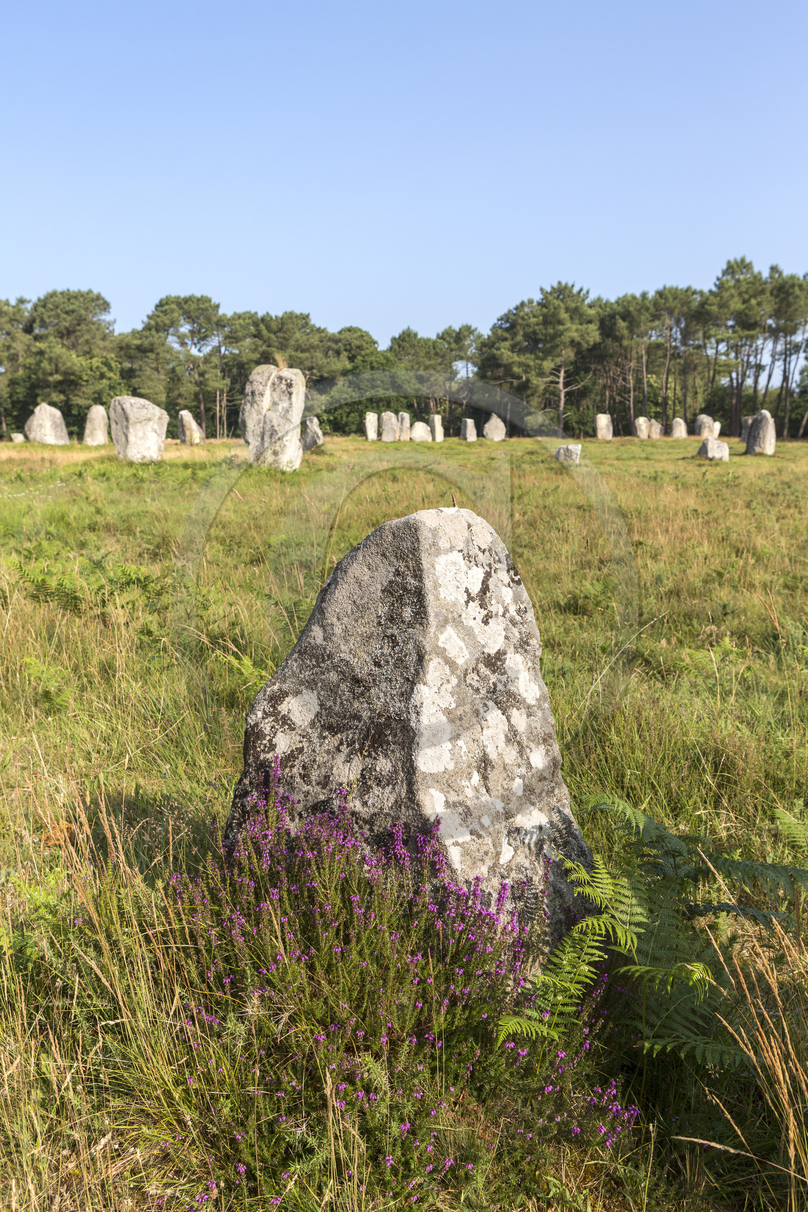 Alignements de Kerlescan à Carnac