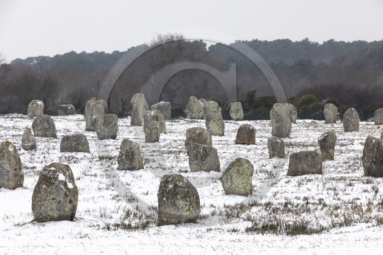 20210211_Carnac_19A8026