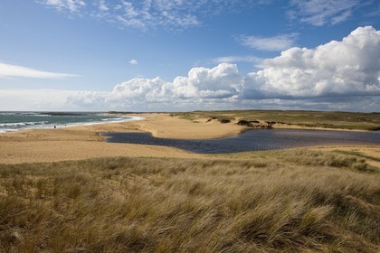 dunes et marais d'Erdeven