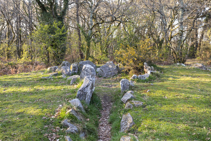 Le site mégalithiques de Mané Bogad à Ploemel