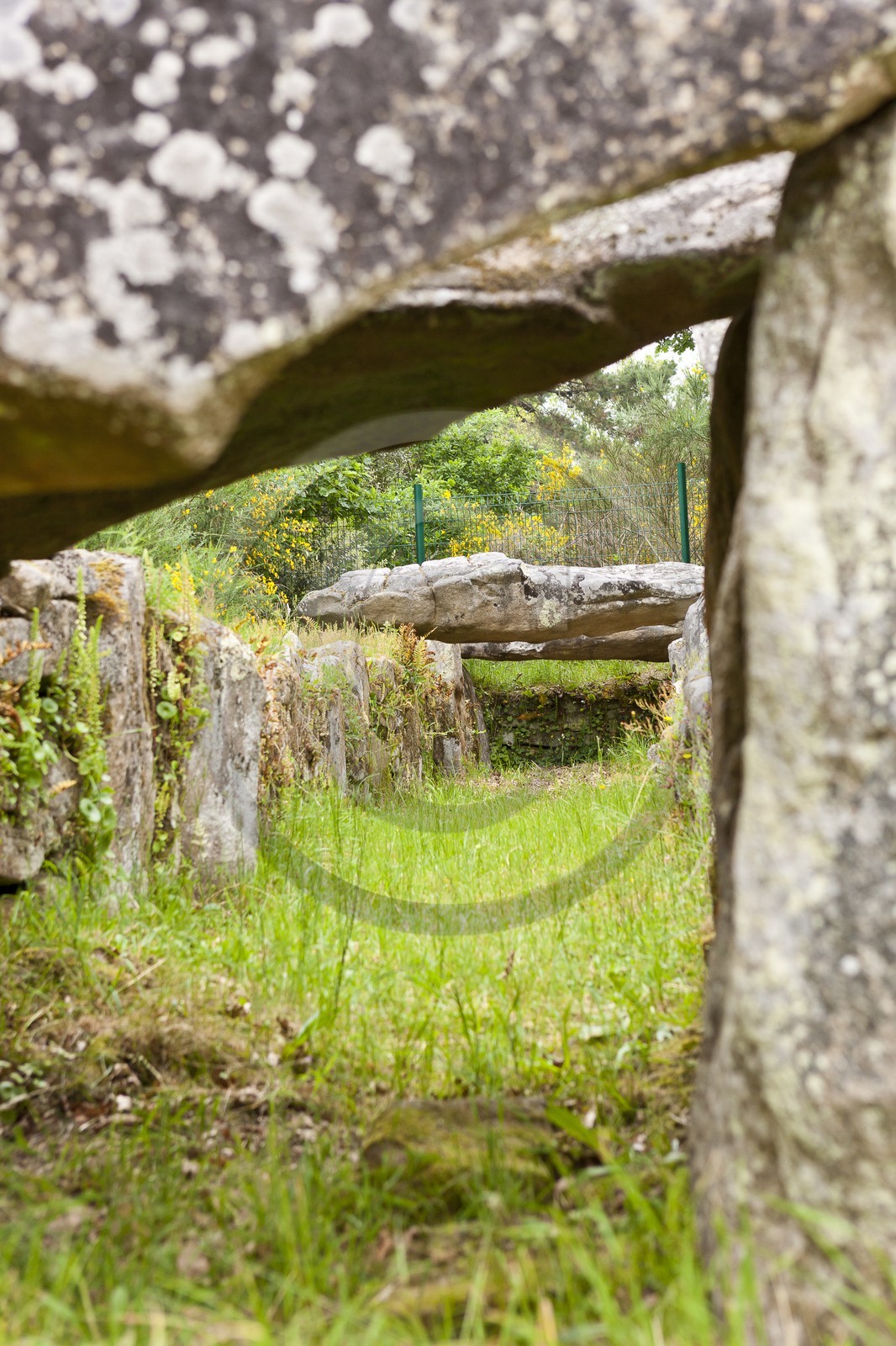 SITE ARCHEOLOGIQUE DE MANE ROULARDE _ LA TRINITE SUR MER