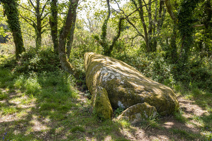 Dolmen de Men Hiaul (Kerblay) à Sarzeau