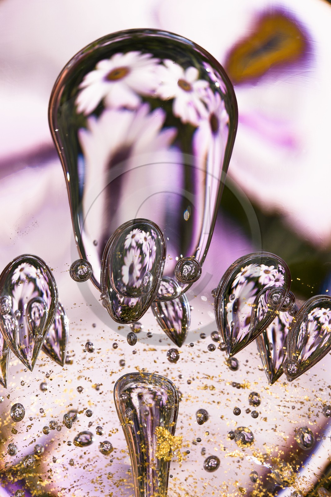 Aéroflore _ Inside Glass