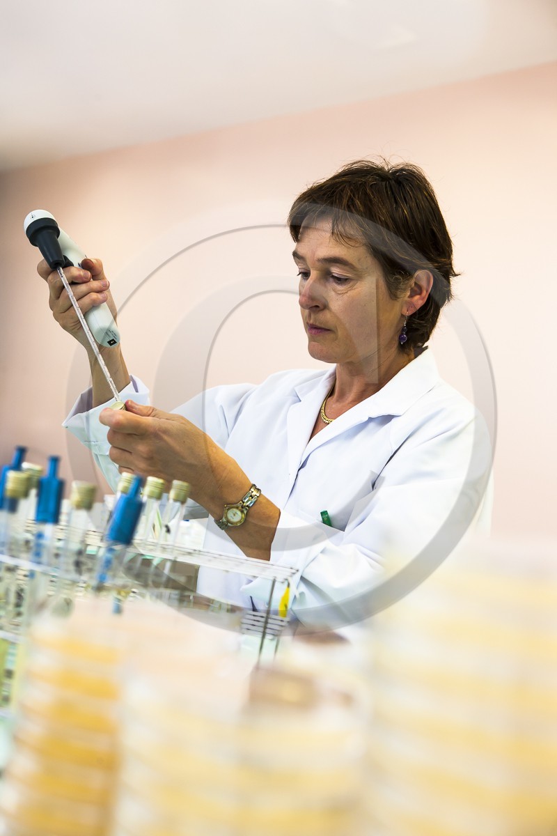 LDA MORBIHAN_ St Ave