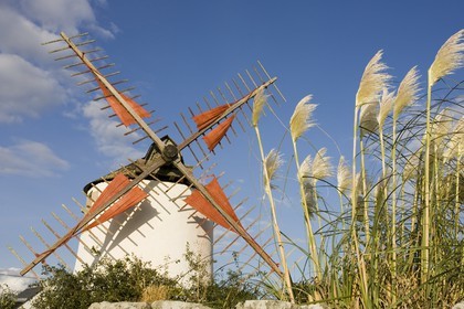 Construit en 1805, le moulin du Narbon à Erdeven à été restauré en 1989 par l'association Les amis du Moulin du Narbon après avoir été partiellement détruit lors d'une tempête mémorable en 1987. (56410)