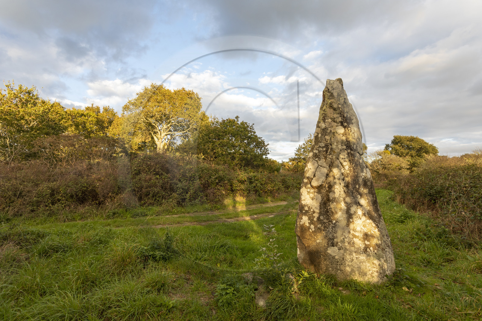 Le tumulus du Moustoir à Carnac