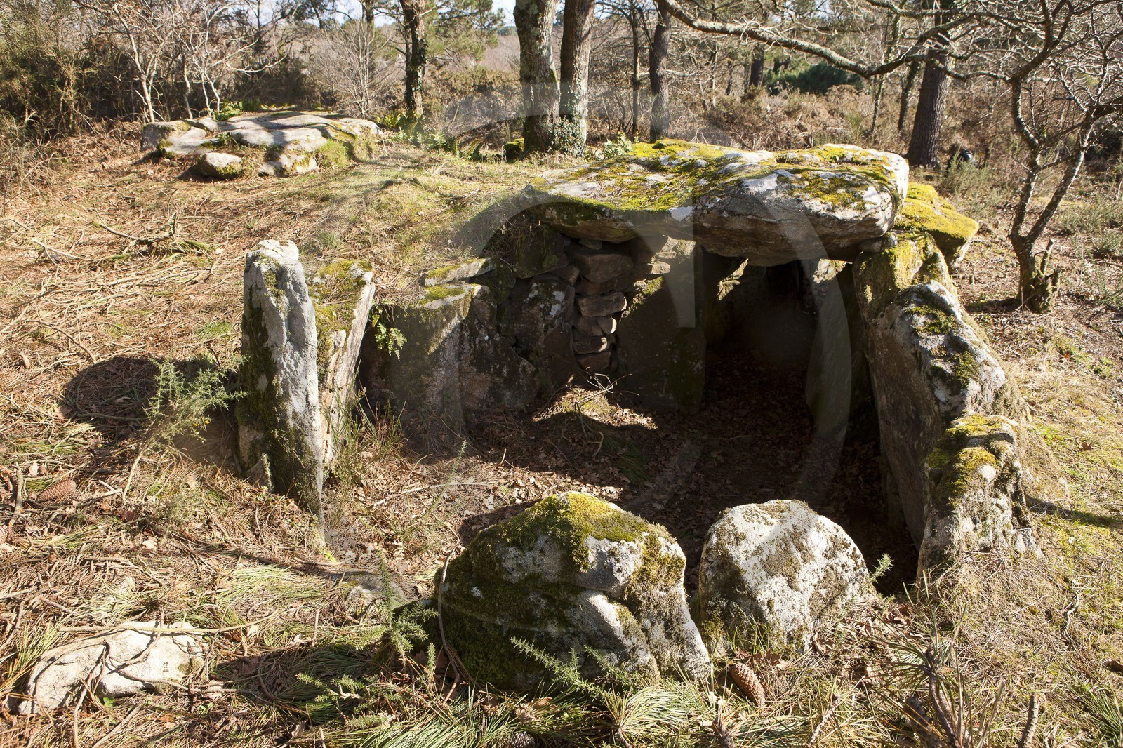 Dolmen de kervilor mane bras. La Trinite su Mer.
