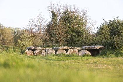 L'allée couverte de Kerguntuil à Trégastel.