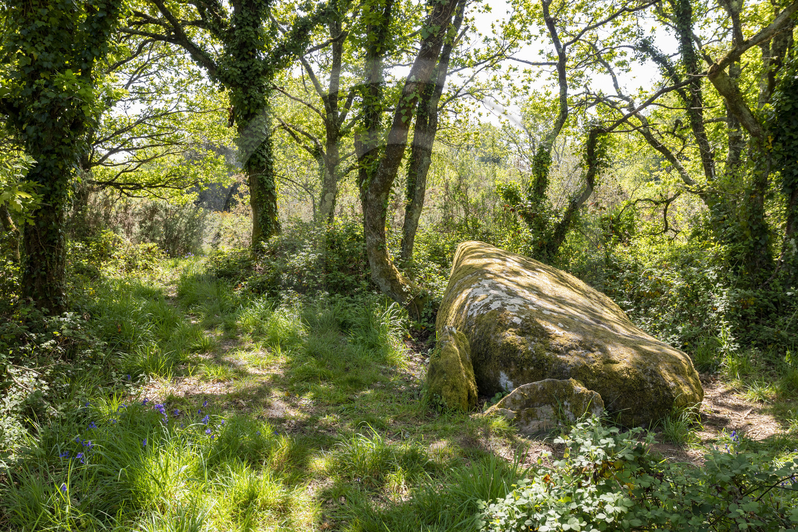 Dolmen de Men Hiaul (Kerblay) à Sarzeau