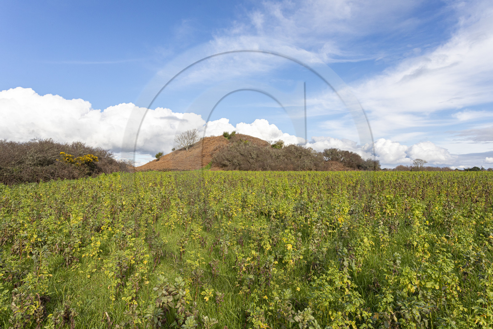 Tumulus de Tumiac à Arzon