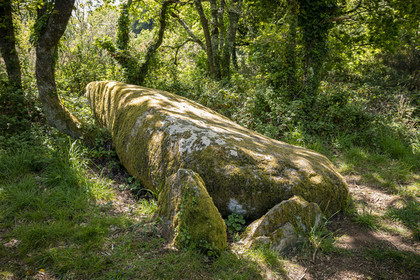Dolmen de Men Hiaul (Kerblay) à Sarzeau