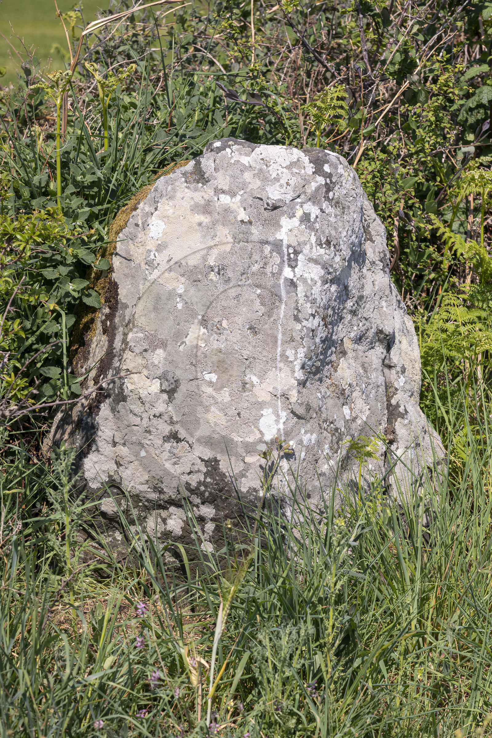 Allée couverte du Net _ Saint-Gildas-de-Rhuys