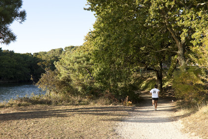 étang du Ter à Ploemeur. Morbihan_France