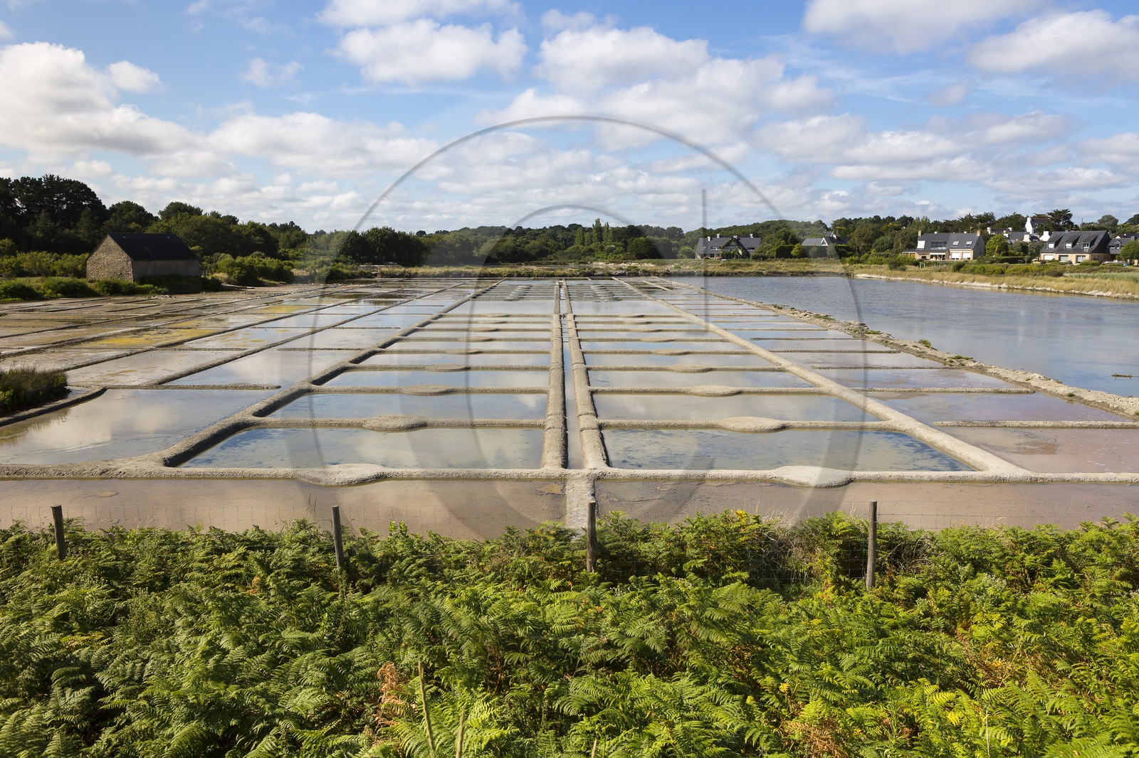 Les marais salant du site de Kervillen. La Trinite sur mer