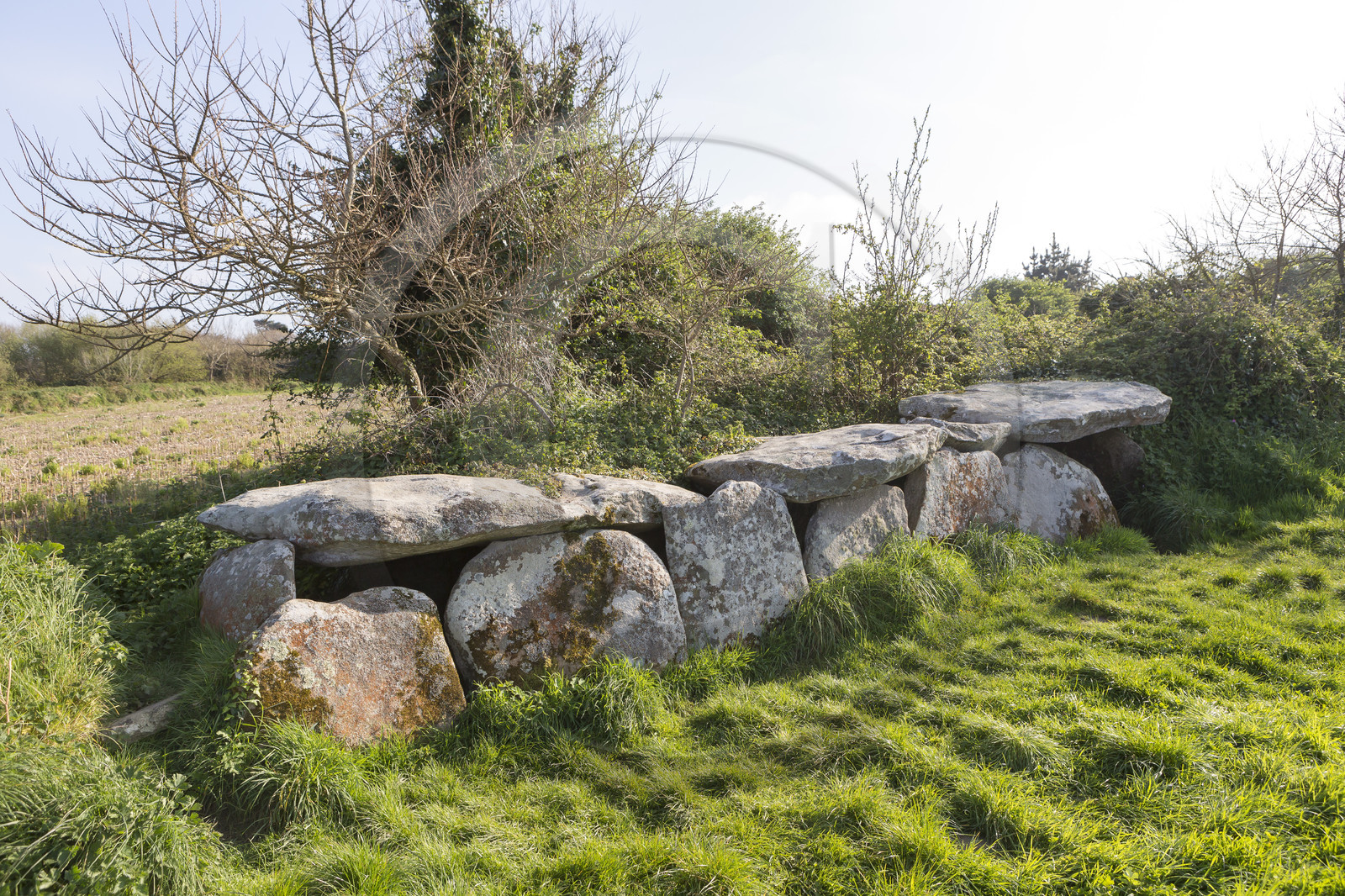 L'allée couverte de Kerguntuil à Trégastel.