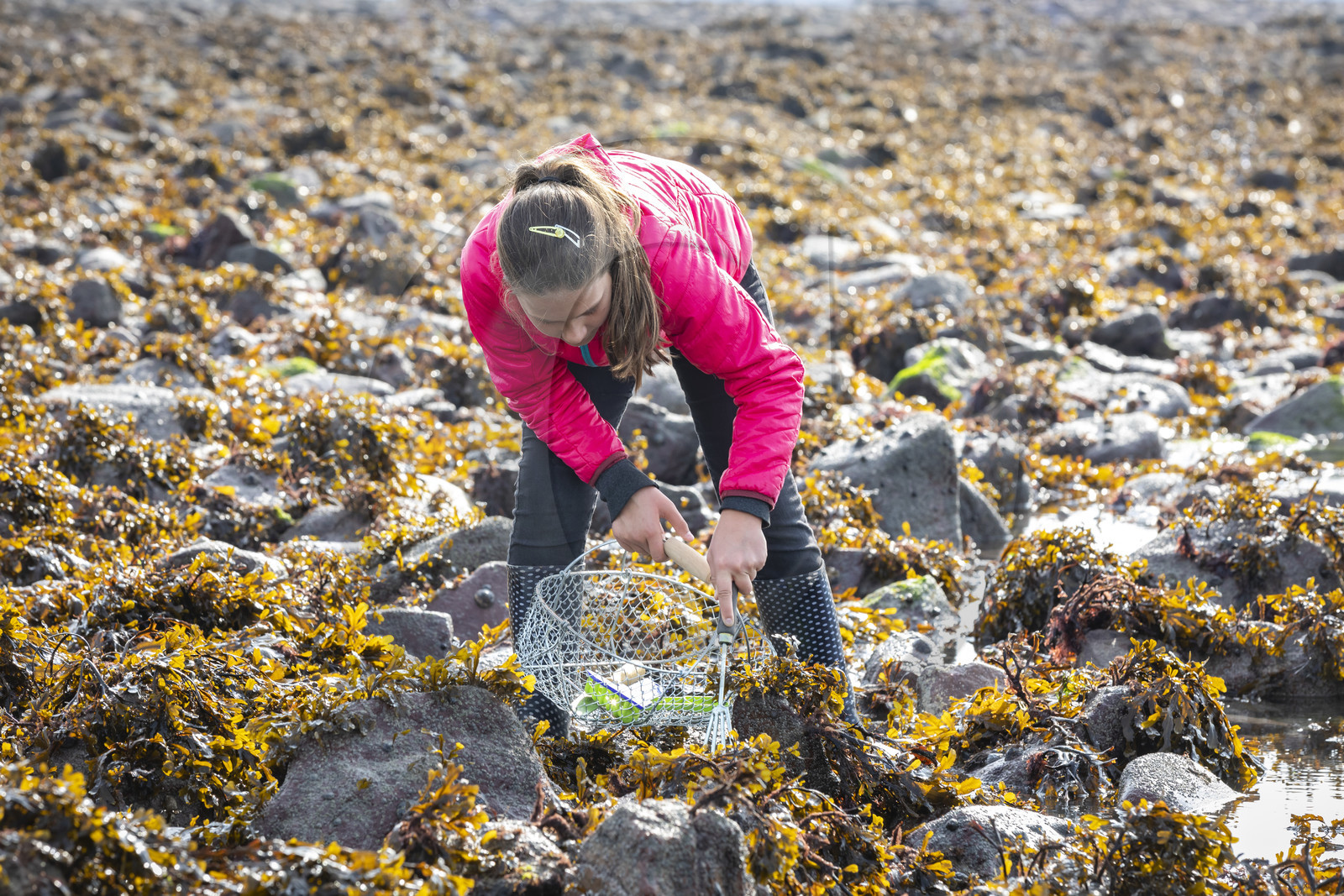 Plage de l'ilôt Saint-Michel à Erquy