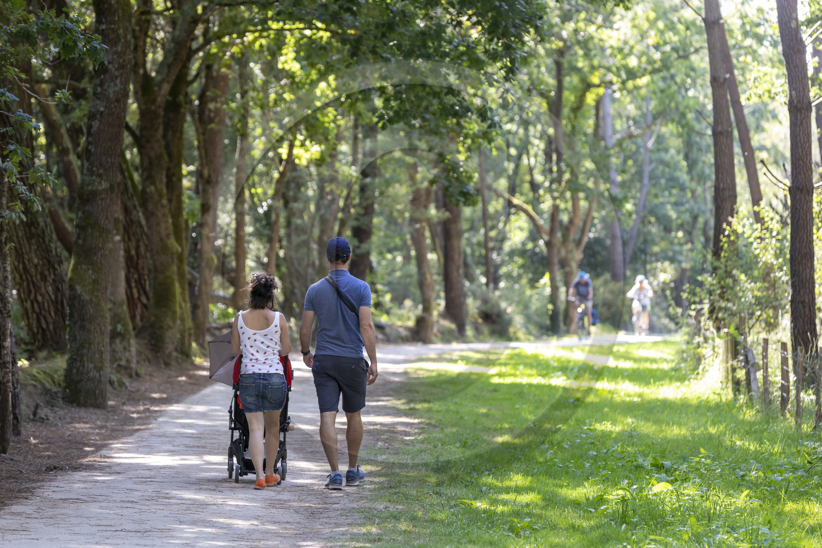 CARNAC _ Circuit des mégalithes _ ÉTÉ 2021
