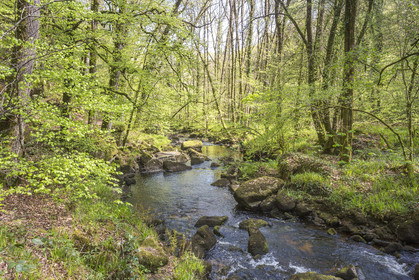 20170418_HUELGOAT_55A3771