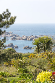 Panorama sur la côte de Tregastel