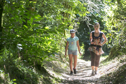 Randonnée à Quistinic