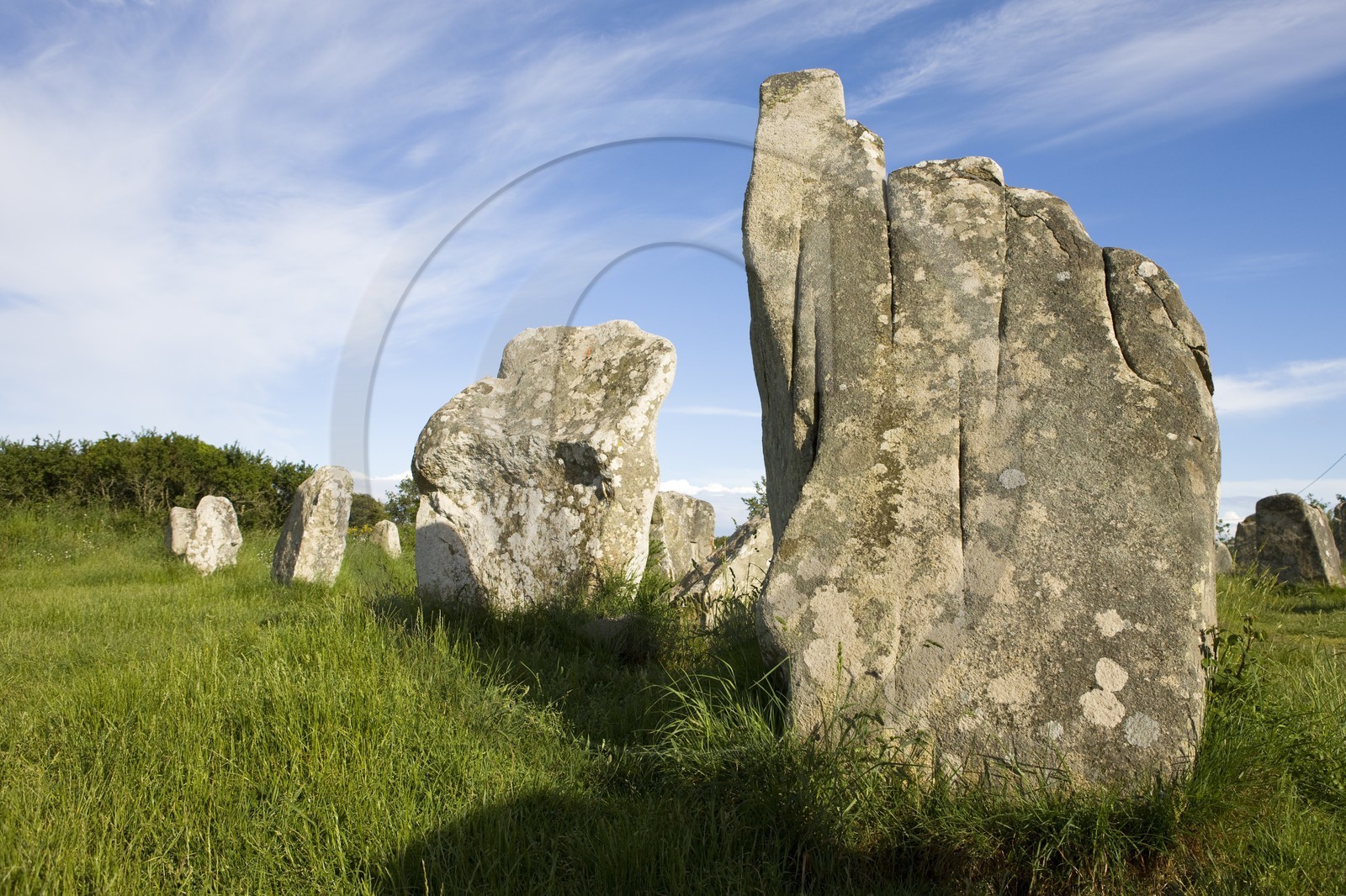 Alignement de Menhirs de Kerzerho à Erdeven (56410).