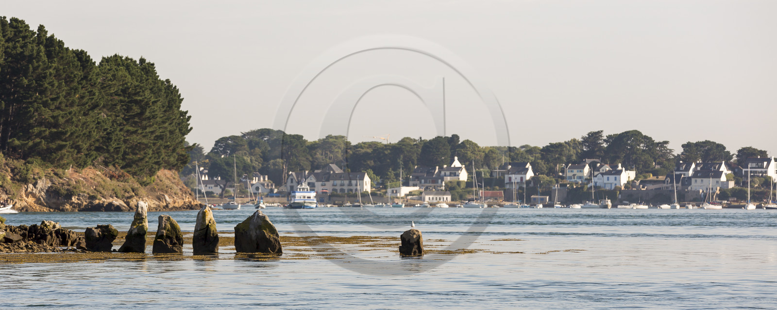 Er Lannic dans le golfe du Morbihan à Arzon