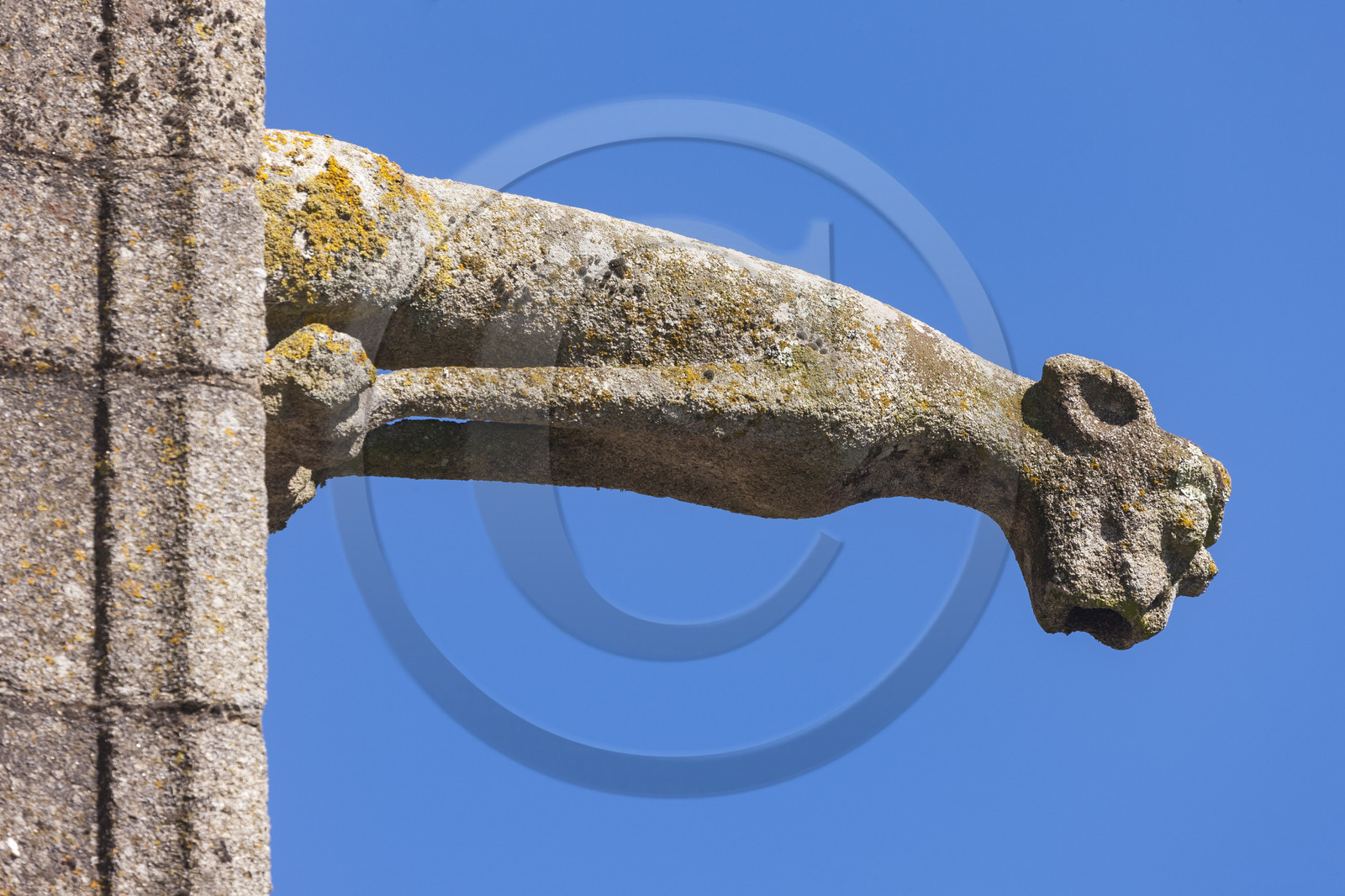 La Chapelle Notre-Dame des fleurs à Languidic