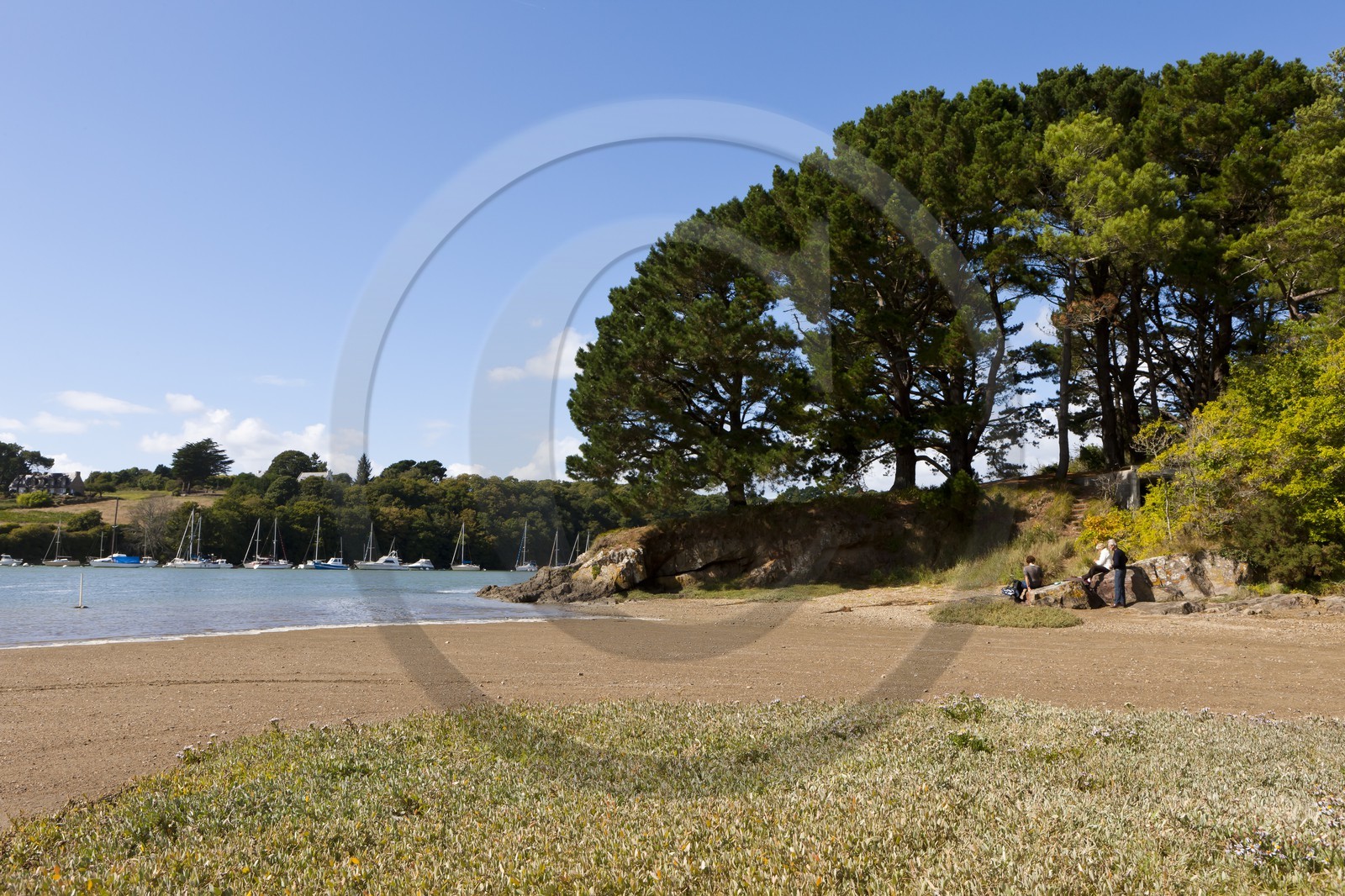 Sentier pedestre en bordure de la Laita_Guidel