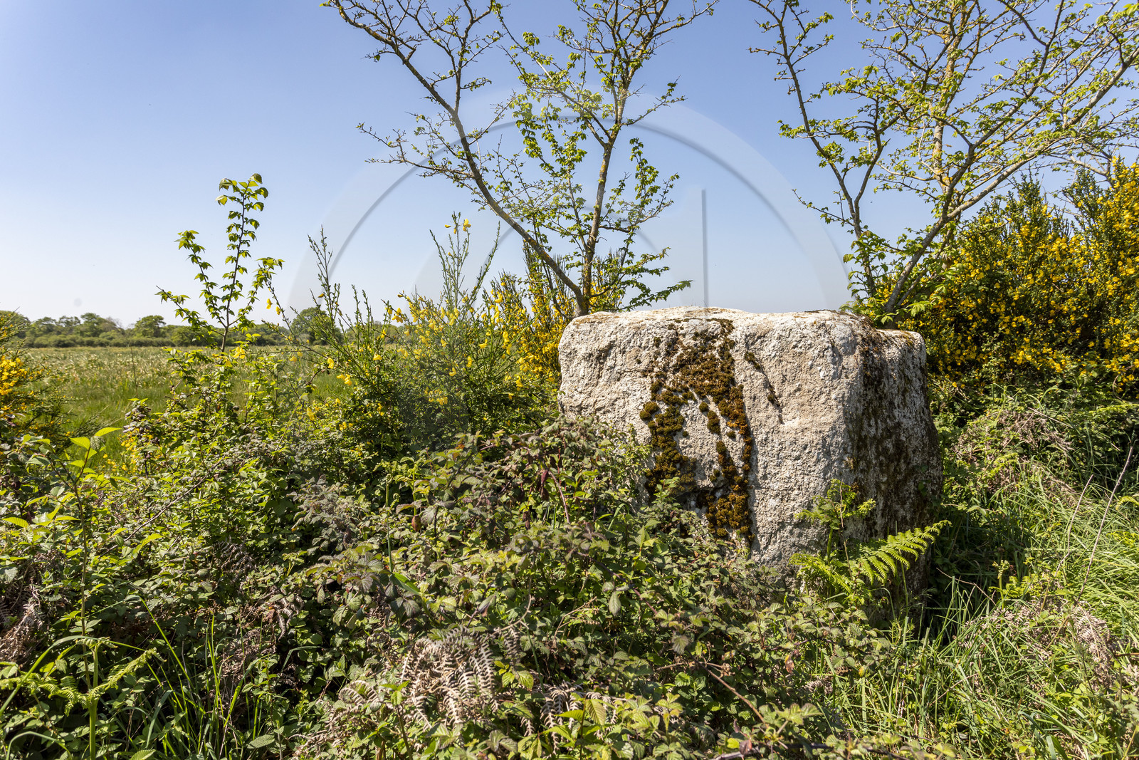 Menhir de Kerbigot à Sarzeau