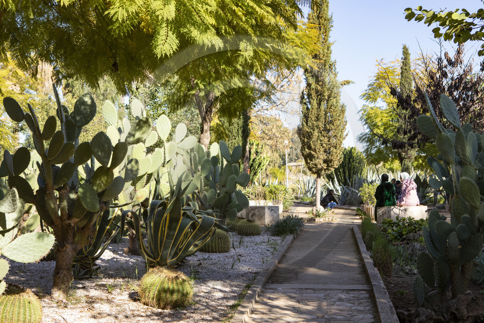 La ville de Fès au Maroc