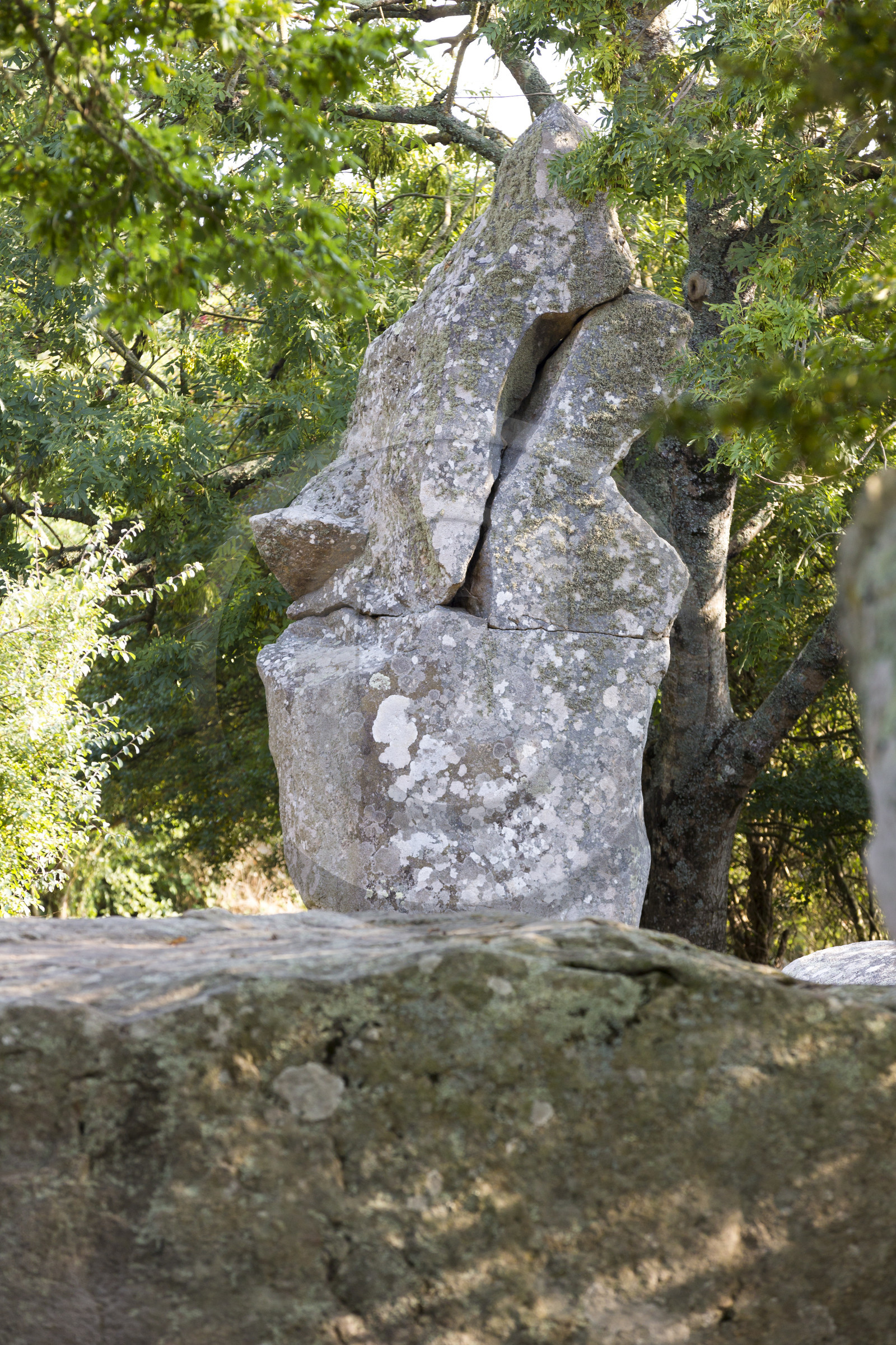 Alignements de Kerzerho _ Erdeven