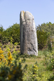 Le menhir de Kermaillard à Sarzeau