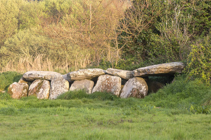 L'allée couverte de Kerguntuil à Trégastel.