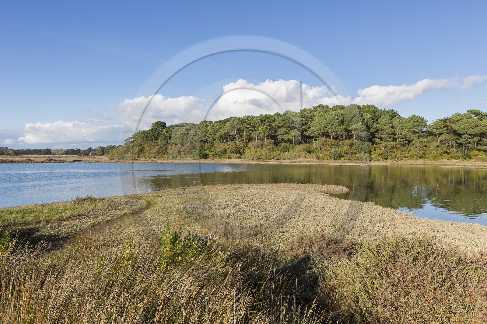 Anse de Kerdual _ La Trinite sur Mer