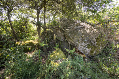 Allée couverte du Net _ Saint-Gildas-de-Rhuys
