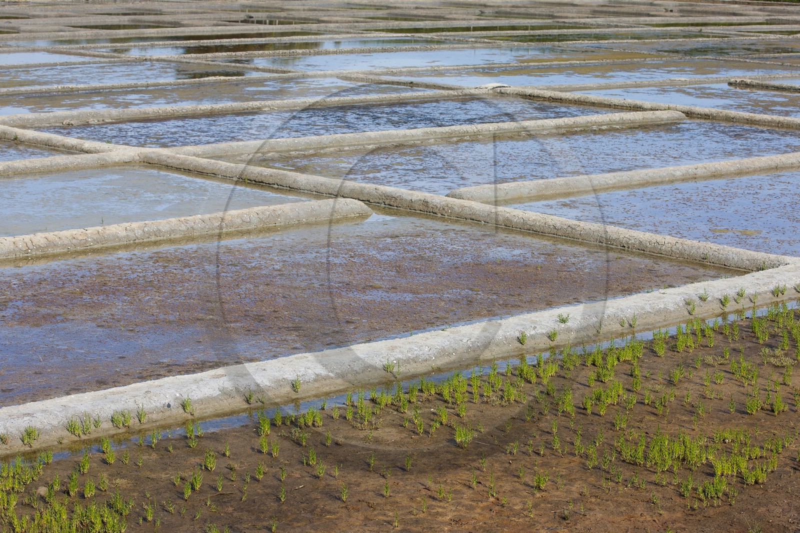 Le site de Kervillen _ La Trinite sur Mer