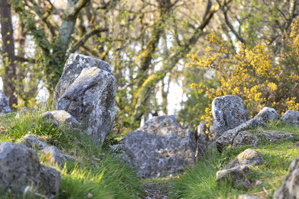 Le site mégalithiques de Mané Bogad à Ploemel