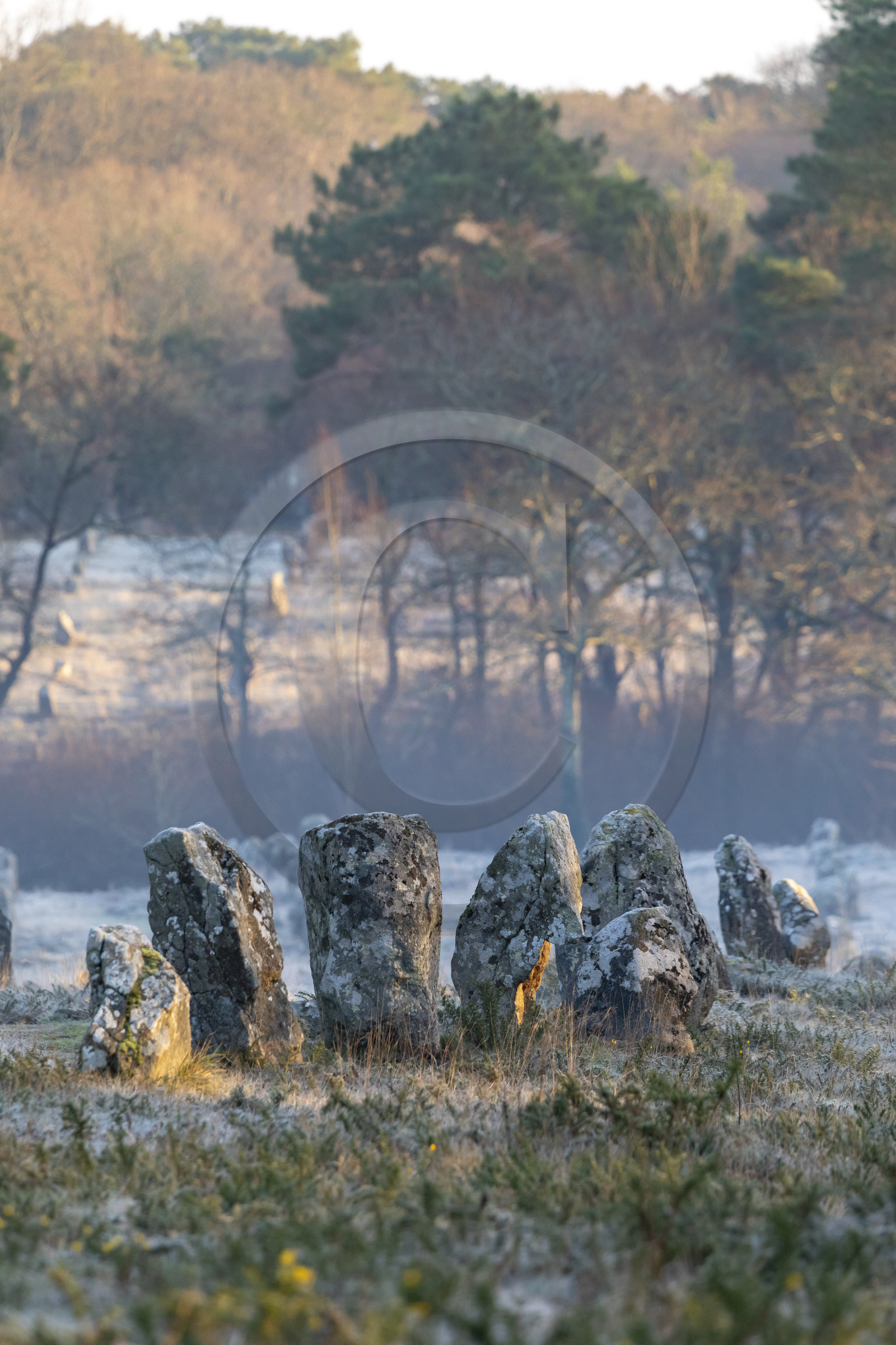 Alignements de Kermario à Carnac