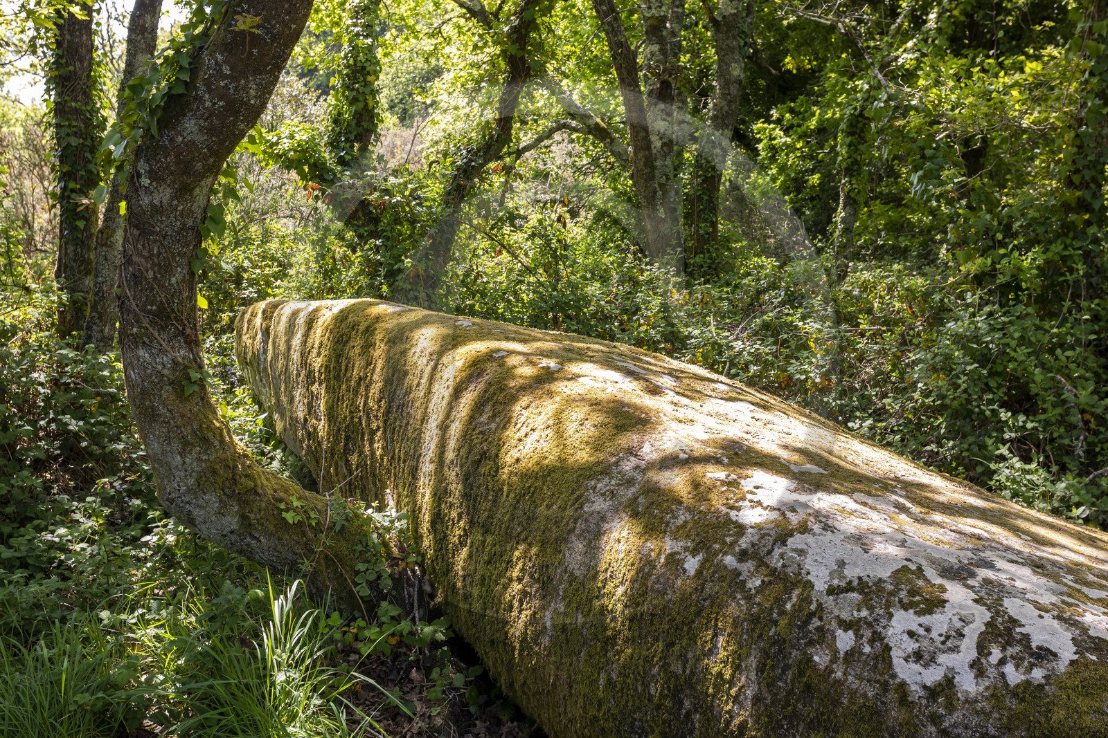 Dolmen de Men Hiaul (Kerblay) à Sarzeau