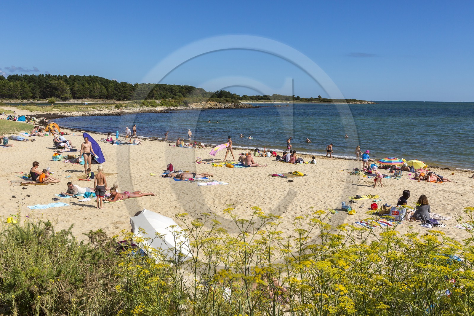 La plage du Men-du _ La Trinite sur mer