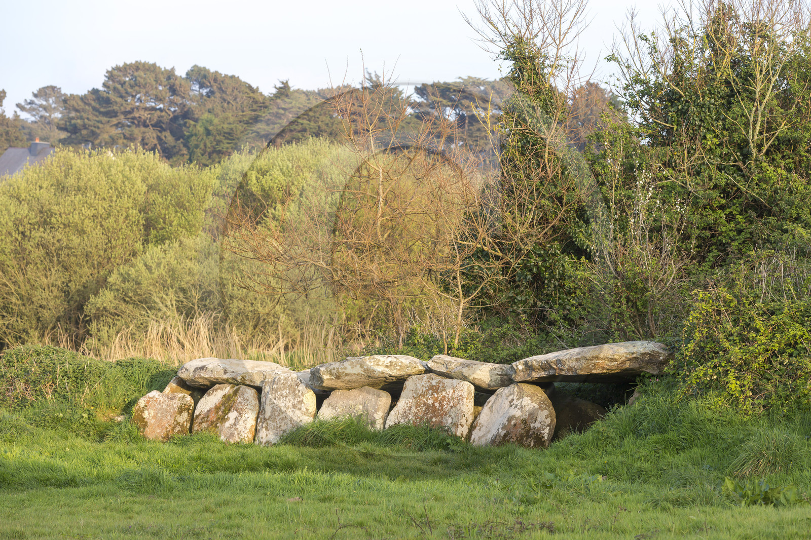 L'allée couverte de Kerguntuil à Trégastel.
